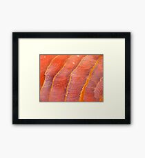petrified wavelets Framed Print
