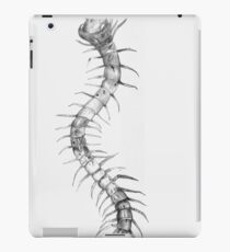 Illustrated Centipede iPad Case/Skin