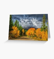Changing Of The Colors - Colorado's New Coat Greeting Card