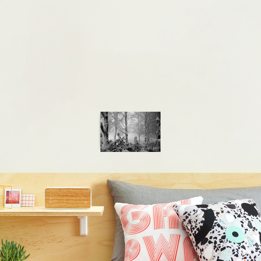 We got snow today! Photographic Print