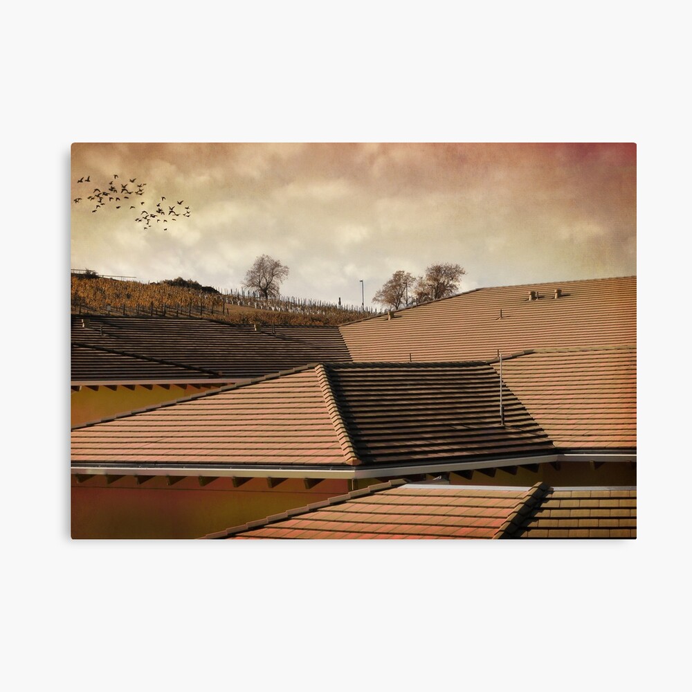 Angled Up Canvas Print
