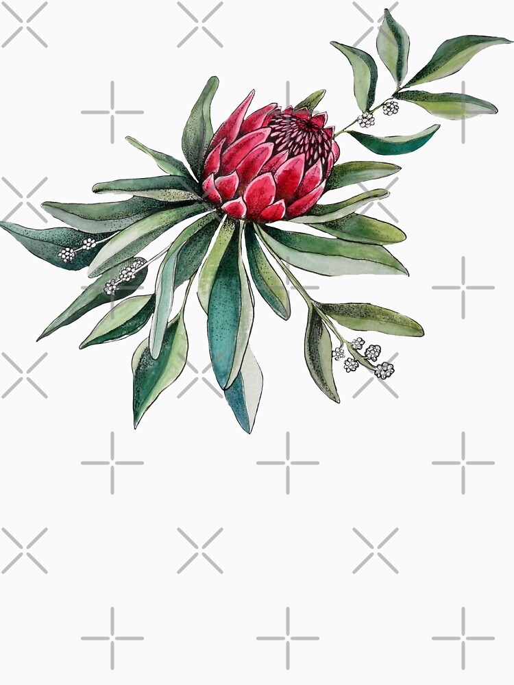 Protea watercolor by MagentaRose