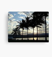 palm sunset port douglas Canvas Print