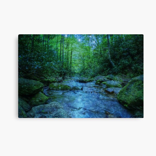 River of Dreams Canvas Print
