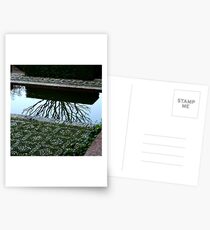 winter garden Postcards