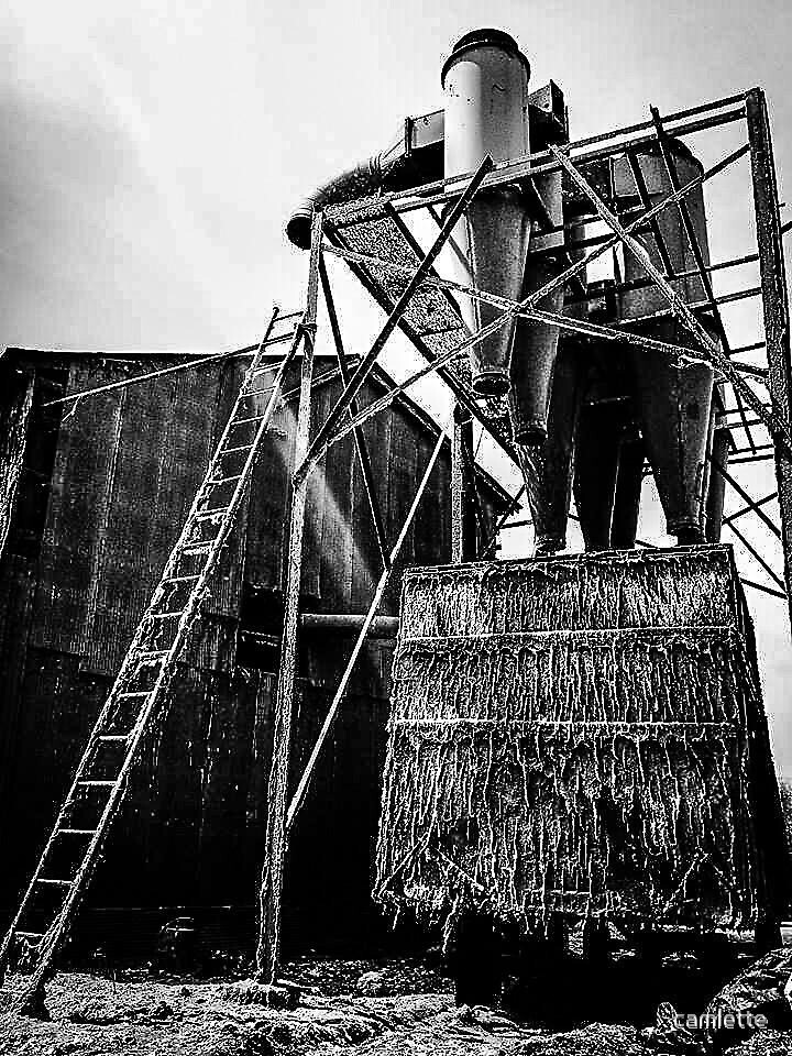 "Bostwick Cotton Gin III" by camlette Redbubble