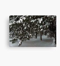 First Snowfall Canvas Print