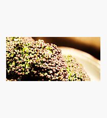 Broccoli Photographic Print