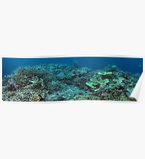 Binusa Point VI Poster
