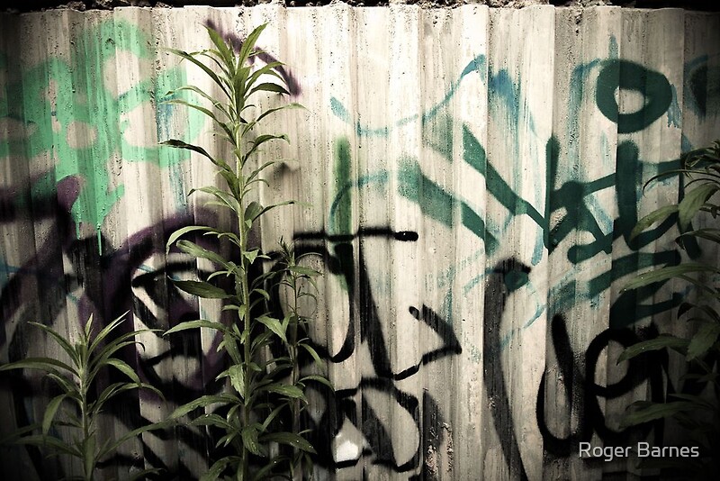 Graffiti Weeds By Roger Barnes Redbubble