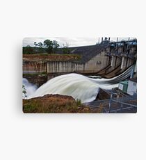 White water Canvas Print