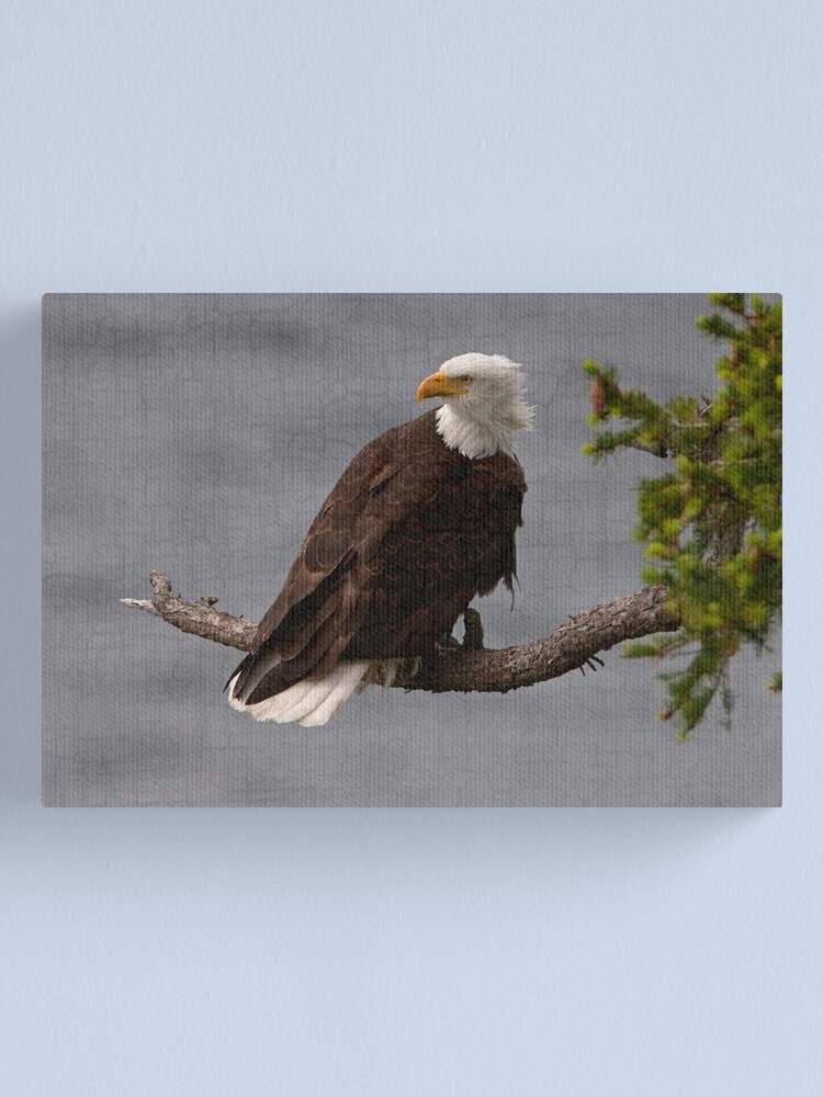 Alternate view of Looking Back on Life Canvas Print