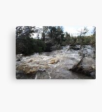 Rush Canvas Print