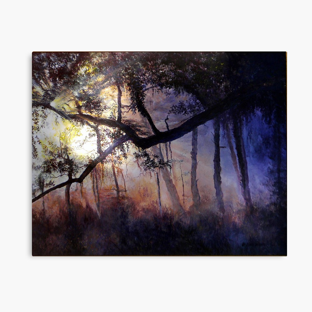 "Myakka River - Shadow Crossing" Canvas Print