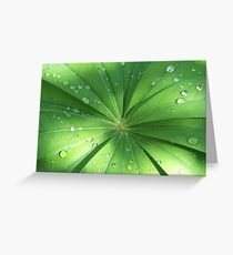 Lupin Leaves in the rain Greeting Card