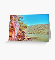 Bobbin Head, NSW, November 2010 Greeting Card