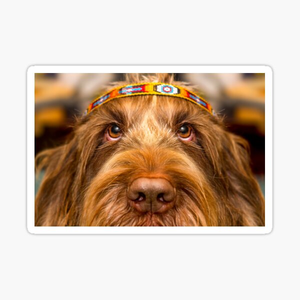 The Guru of Love Sticker