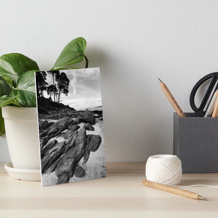 Those Damn Rocks Again Art Board Print