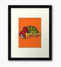 Eternia Battlecats Framed Print