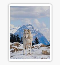 White Grey Wolf & Rocky Mountains Art Sticker