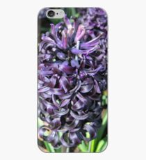 Midnight Mystique - Dark Hyacinth iPhone-Hülle & Cover