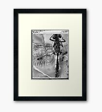 Insect Framed Print