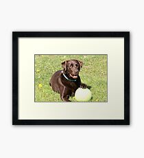 my ball Framed Print