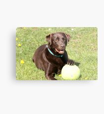 my ball Metal Print