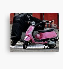 Big Brother Canvas Print