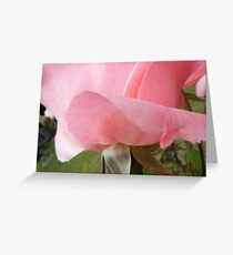 Rose Greeting Card