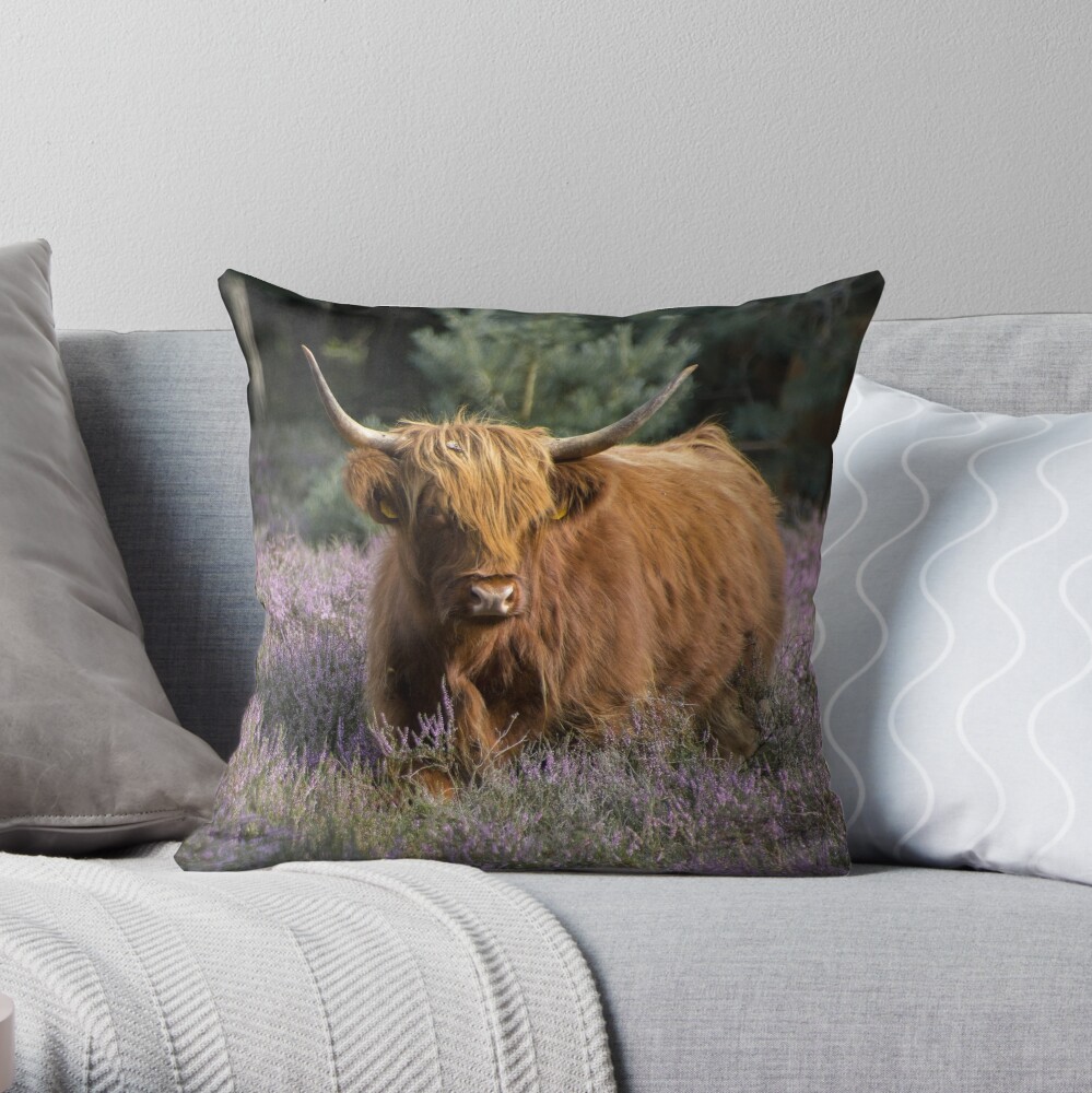 highland cow throw pillow