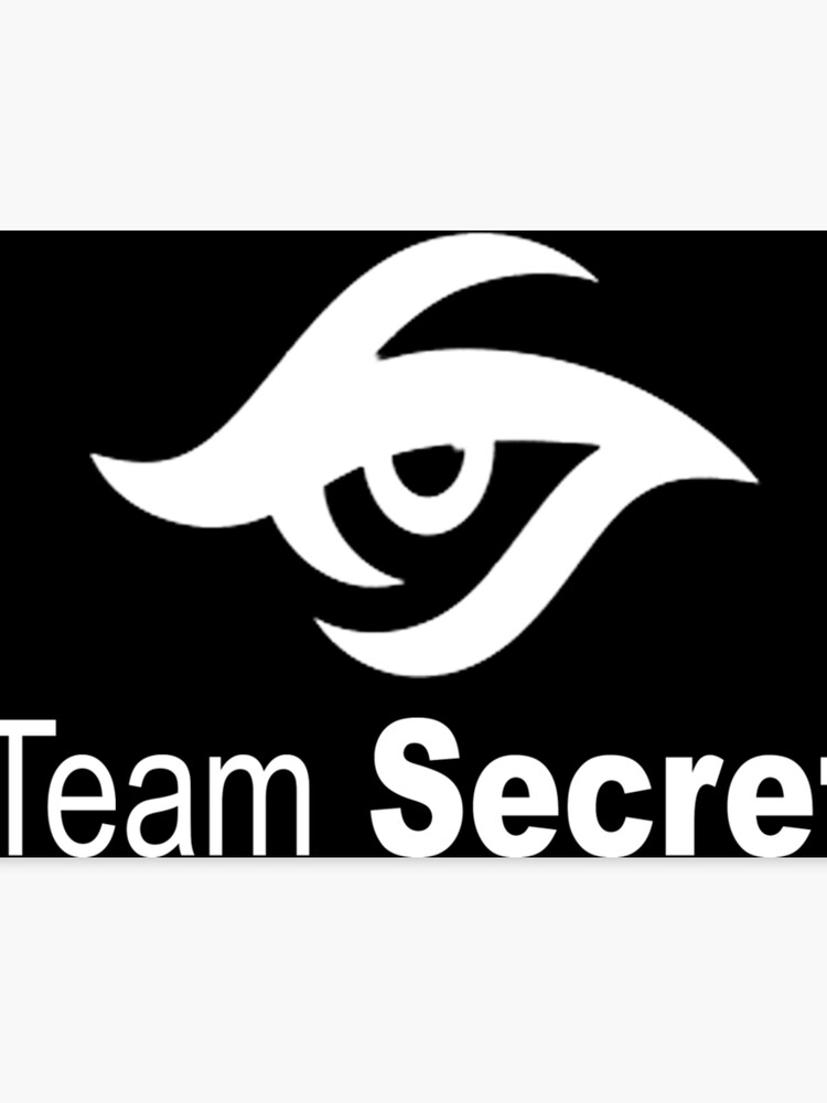 Team Secret Collector Items Dota 2 Canvas Print