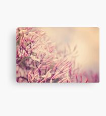 Jasmine Canvas Print
