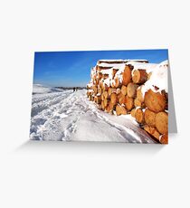 Snowy Schouwen Greeting Card