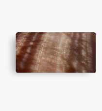 skin lace Metal Print
