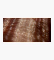 skin lace Photographic Print