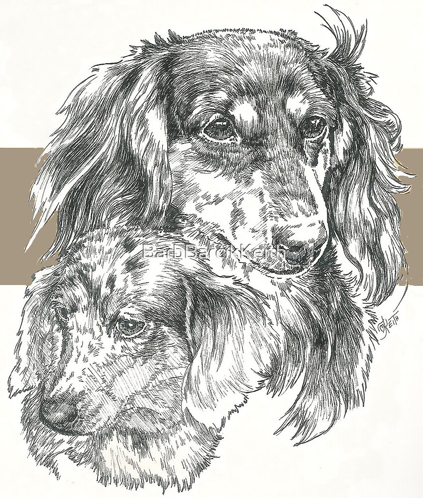 Dachshund Long Haired Father Son By Barbbarcikkeith Redbubble
