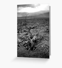 Death Valley Greeting Card