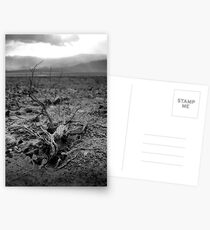 Death Valley Postcards