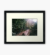 Afternoon Glory - Proxy Falls, OR Framed Print