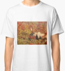 Maine Piebald Bull Moose Classic T-Shirt