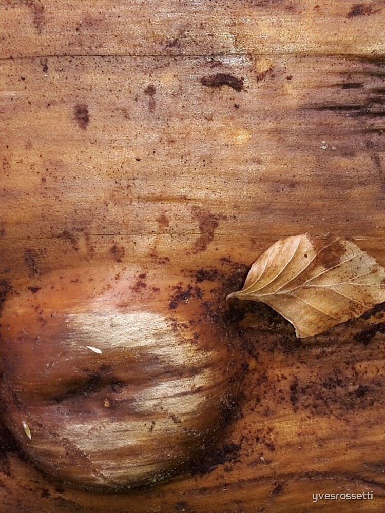 wood life by yvesrossetti