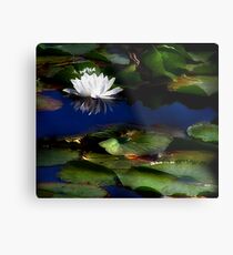 Mirrored Metal Print