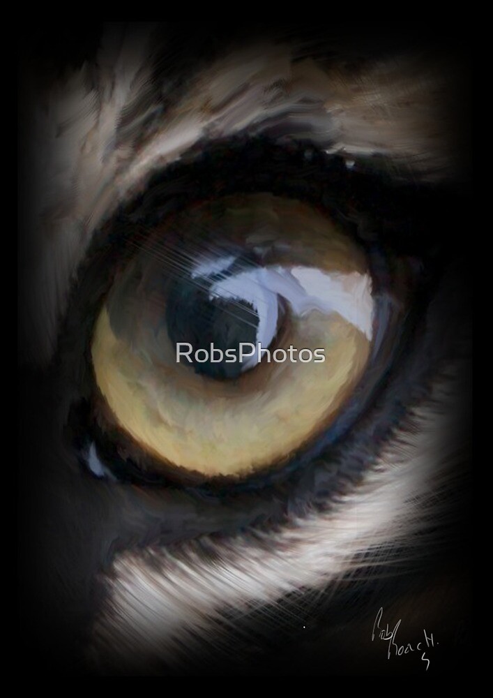 "painting of tigers eye" by RobsPhotos Redbubble