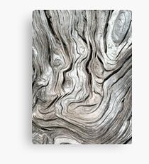 DRIFTWOOD STUDY 3 Canvas Print