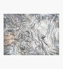 DRIFTWOOD STUDY 4 Photographic Print