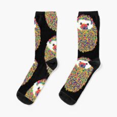 Hedgehog of Color Socks