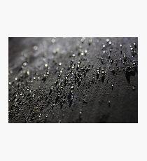 Drops Photographic Print