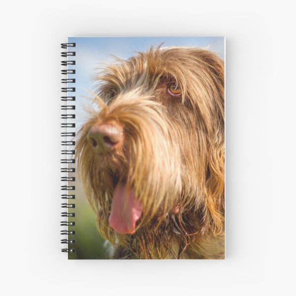 Sunshine Spinone days Spiral Notebook