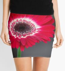 Gerber Daisy Mini Skirt